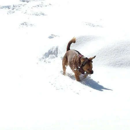 Haus Ebner Johann דירה הינטרסי