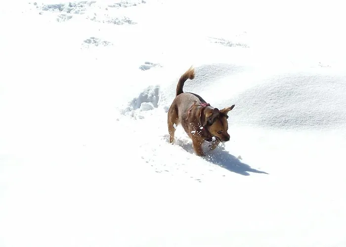 Haus Ebner Johann דירה הינטרסי